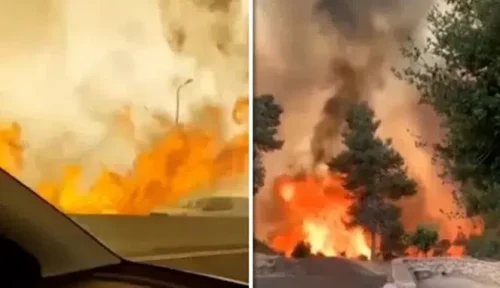 Kebakaran Besar di Barat Yerusalem Israel Disambut Sorak Warganet