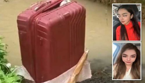 Misteri Koper Berdarah, Identitas Korban Terungkap, Pelaku Masih Buron