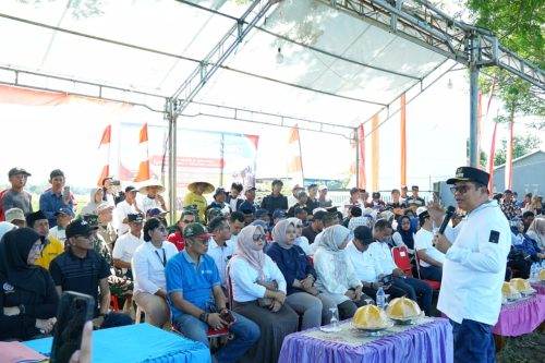 Bupati Takalar Vicon Panen Raya Padi Bersama Presiden Prabowo, Simbol Keberhasilan Musim Tanam