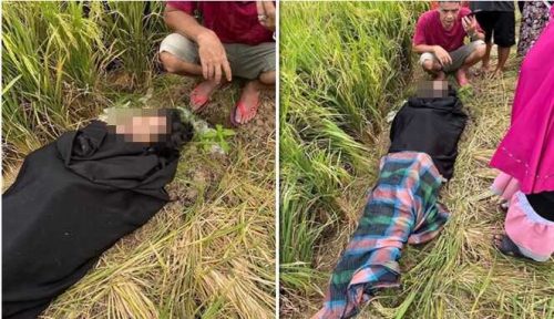 Mayat Wanita Ditemukan Terbungkus Sarung di Sawah Pinrang, Polisi Selidiki Penyebab Kematian