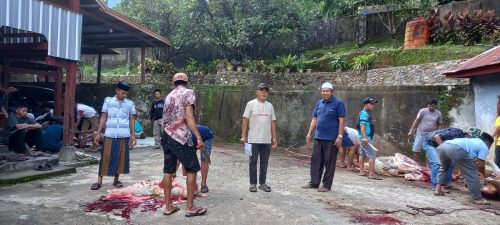 Desa Buakkang Kurban 82 Ekor, Peringkat 2 Terbanyak di Gowa