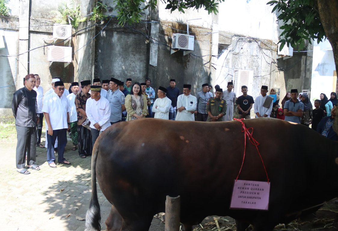 Takalar Terima Bantuan Sapi Kurban dari Presiden Prabowo Subianto