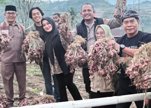 Bupati Enrekang Siap MoU Gubernur Kaltara  Suplai Bawang Merah