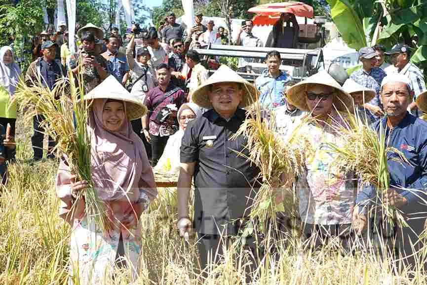 Munafri Arifuddin Dorong Urban Farming untuk Ketahanan Pangan Makassar