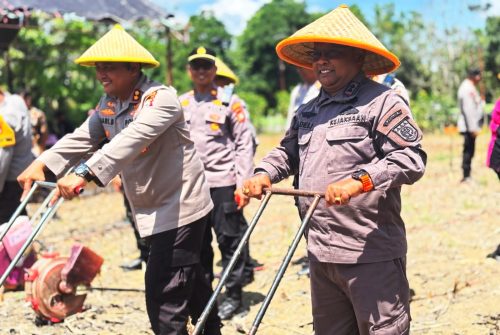 Sinergi Satgas Polres, Kejari Enrekang, Ponpes Rahmatul Asri Tanam Jagung Jadi Spirit Warga Lokal