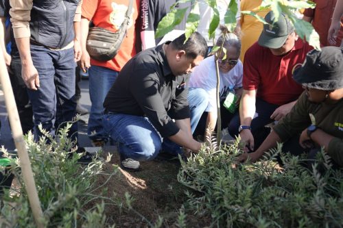 Makassar Menuju Kota Hijau, Pemkot Wajibkan Siswa Tanam Pohon Sejak Dini