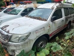 Pemkot Makassar Lelang 38 Kendaraan Dinas, Ini Syaratnya!