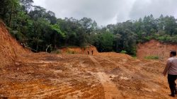 Hutan Gowa Digerogoti, Aktivis Tuding Ada Pembiaran Aparat