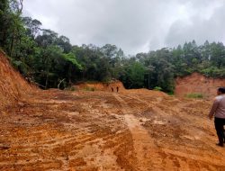 Hutan Gowa Digerogoti Mafia Hutan, Aktivis Tuding Ada Pembiaran Aparat
