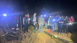 Polres Gowa Gerebek Ilegal Logging, Hutan Lindung Dibabat Pelaku
