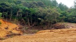 Hutan Lindung Malino Digunduli, Diduga Mafia Kayu Kuasai Puluhan Hektare
