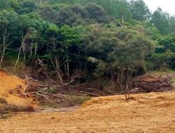 Hutan Lindung Malino Digunduli, Diduga Mafia Kayu Kuasai Puluhan Hektare