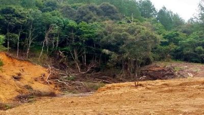 Hutan Lindung Malino Digunduli, Diduga Mafia Kayu Kuasai Puluhan Hektare