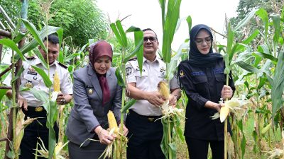 Wawali Makassar Hadiri Panen Raya Ketahanan Pangan di Lapas