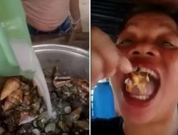 Konten Maut di Pesisir Filipina, Influencer Tewas Diduga Keracunan Devil Crab