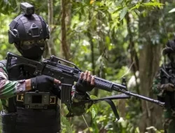 Baku Tembak dengan KKB, Dua TNI Gugur di Papua Barat Daya