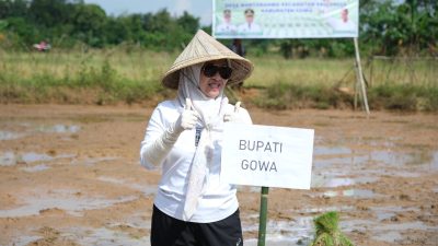 Bupati Gowa Turun Sawah, Genjot Swasembada Pangan Lewat CSR