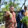 Urban Farming Makassar, Solusi Pangan hingga Cegah Stunting