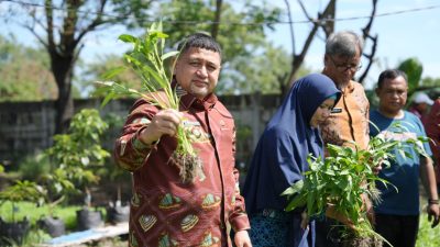 Urban Farming Makassar, Solusi Pangan hingga Cegah Stunting